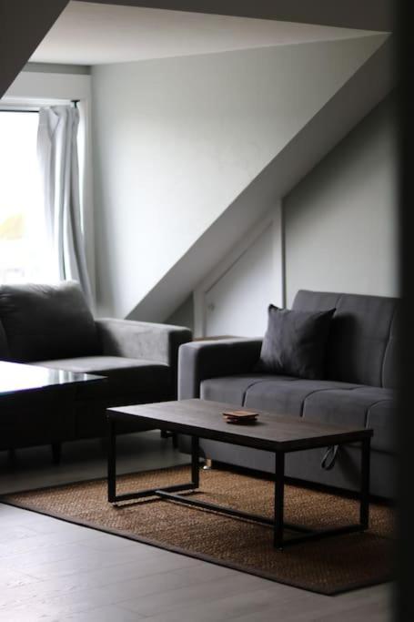 Unique Modern Luxury 2 Bedroom Apartment Rental Chapleau エクステリア 写真